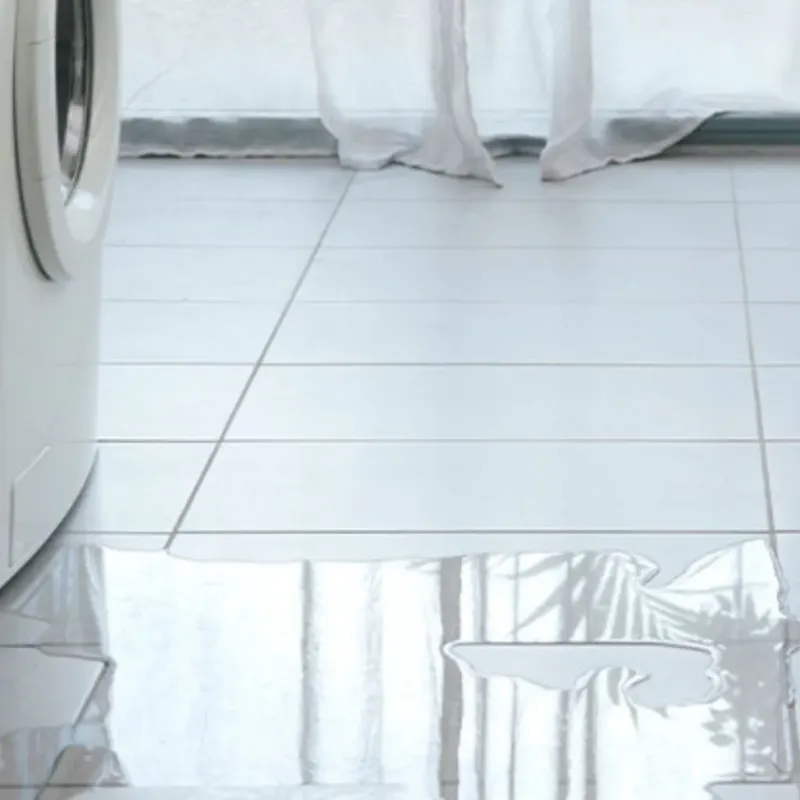 Appliance Leak Cleanup in Galveston, TX