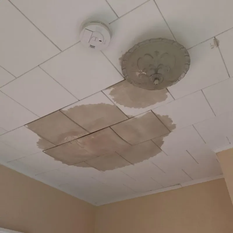 Ceiling Water Damage Repair in Galveston, TX